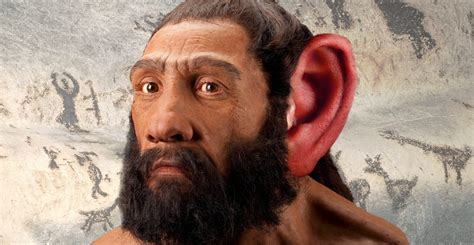 Scientists Now Believe They Know Why Neanderthals Went Extinct The Vintage News