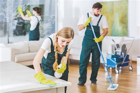 What To Look For In A House Cleaning Company A Full Guide