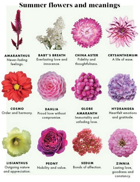 Nov 12, 2020 · they also have a different leaf structure from other types of flowers, as they are arranged in a spiral form in the center, surrounding the stem. Best 25+ Flowers and their meanings ideas on Pinterest ...