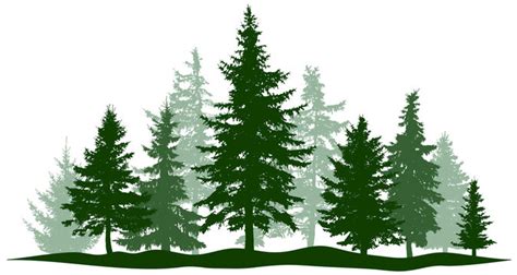 Simple Evergreen Tree Vector