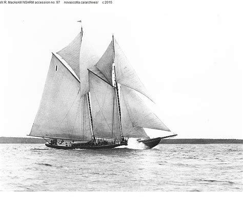Grand Bank Fishing Schooner Bluenose Sailing Schooner