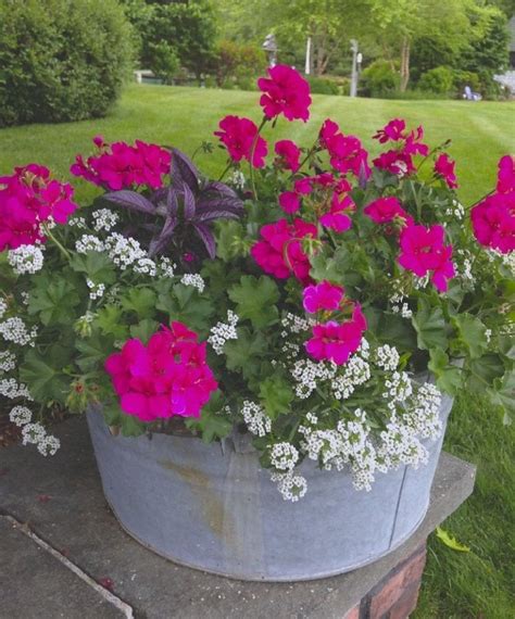 Best 15 Stunning Summer Planter Ideas To Beautify Your