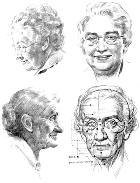 How To Draw Aging Faces And Hands And Where To Draw Wrinkles On The