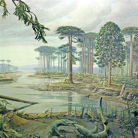 10 Of The Most Fascinating Extinct Trees The Environmentor