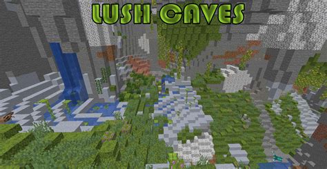 How To Find Lush Caves Minecraft