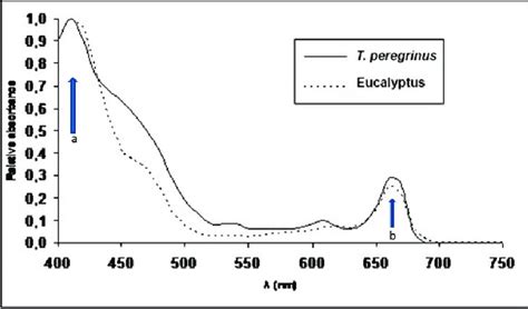 Absorbance Spectra Obtained From 80 Acetone Macerates Of E