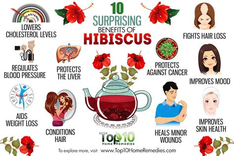 With a taste as intriguing as its color, hibiscus tea is a herbal tea that can be made quite easily using the flowers of your garden and has immense benefits. 10 Surprising Benefits of Hibiscus | Top 10 Home Remedies