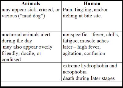 Rabies is a disease humans may get from being bitten by an animal infected with the rabies virus. Virology - The Living Particle: Symptom of Rabies