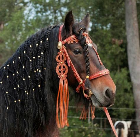 Hungarian Style Love It Horses Horse Braiding Horse Mane