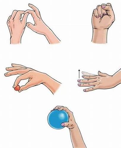 Упражнения для пальцев рук чтобы похудели