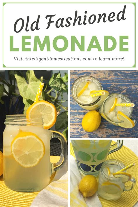 Homemade Lemonade Easy Recipe For Lazy Cooks Intelligent Domestications