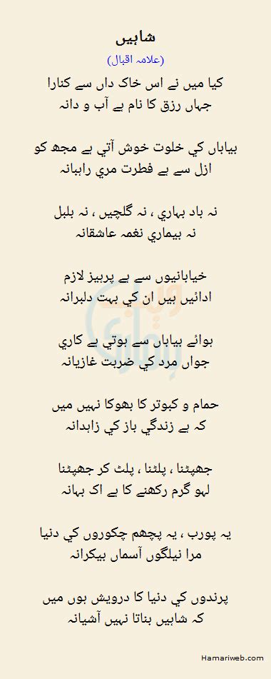 Shaheen By Allama Iqbal Urdu Poetry