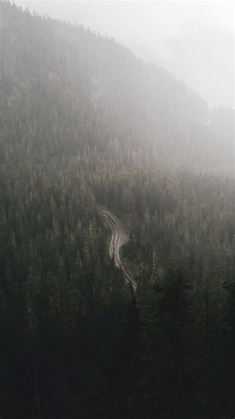 1920x1080px Free Download Hd Wallpaper Road In Forest Drone View