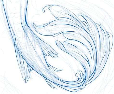 Mermaid Tail Drawing At Getdrawings Free Download