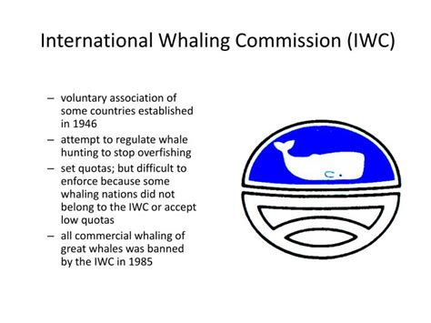 Ppt Whaling Whale Hunting Powerpoint Presentation Id5318254