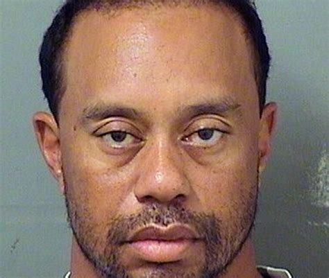 tiger woods says alcohol wasn t involved in dui arrest