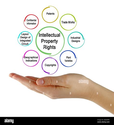 Types Of Intellectual Property Stock Photo Alamy