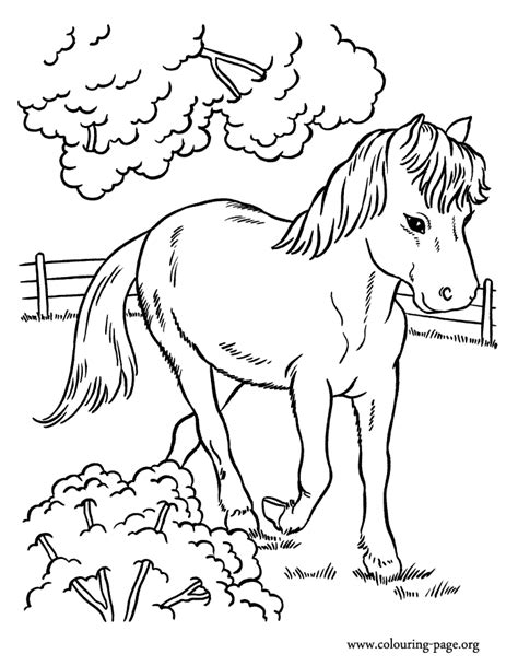 Gambar Horses Cute Horse Running Farm Coloring Page Pages Cartoon Di