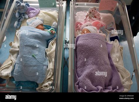 Premature Twins Baby Boy And Baby Girl In Hospital Cots With A Feeding