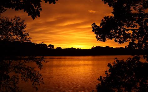 Download Wallpaper 2560x1600 Lake Tree Sunset Branches Horizon Sky