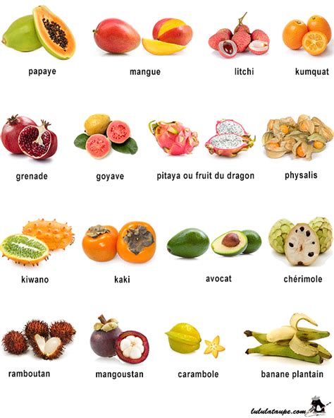 Nom Des Fruit Nom Des Fruits Et Légumes Crpodt