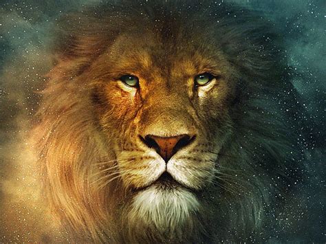 The Lion Aslan From The Chronicles Of Narnia Desktop Wallpaper