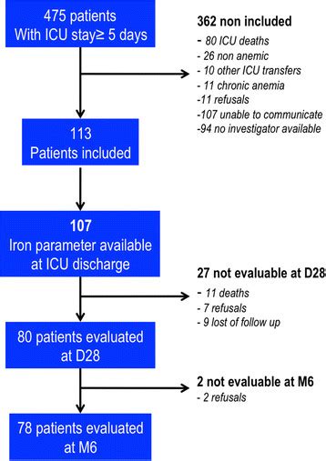 Study Flow Chart Icu Intensive Care Unit D28 28 Days After