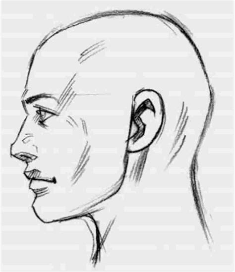 Side Profile Face Drawing At Explore Collection Of
