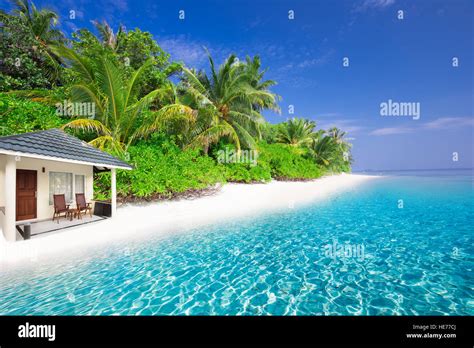 Overwater Bungalows On Tropical Island With Sandy Beach Palm Trees And