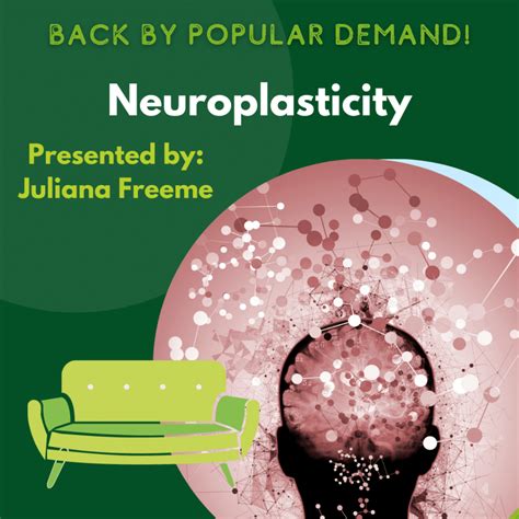 Neuroplasticity In Stroke Rehabilitation The Ot Link