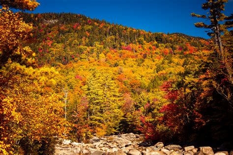 White Mountains In Fall Free Stock Photo Public Domain Pictures