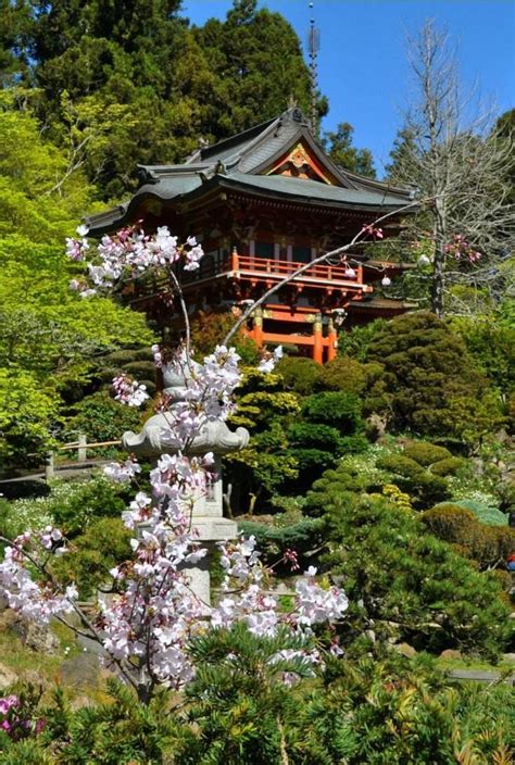 The tea garden was first developed as part of the japanese village exhibit at the world's fair in san francisco back in 1894. Japanese Tea Garden, San Francisco, California - The ...