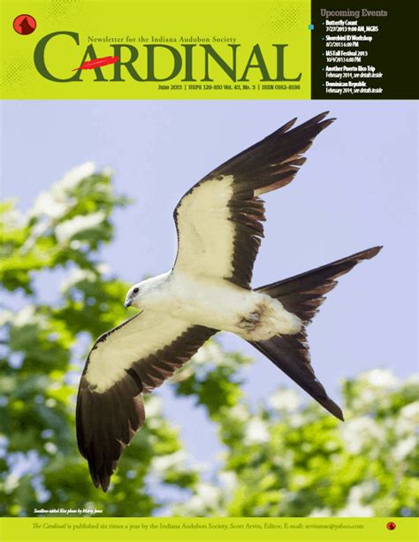 2013 June Cardinal Indiana Audubon Society