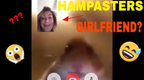 Hamster Facetime Meme Compilation Part2 Try Not To Laugh I Dare You Youtube