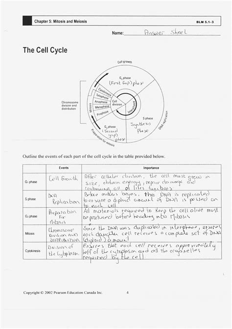 The fountain of youth is the realization that when you live cells alive plant cell worksheet answer key key keywords: Cells Alive Meiosis Phase Worksheet Answers - Cells Alive ...