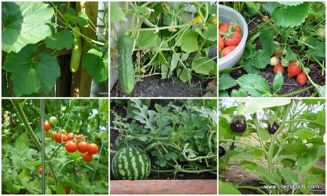 Beautiful, free images gifted by the world's most generous community of photographers. Kitchen Garden | Vegetable Garden | How to grow your own ...