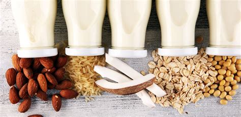 Plant Based Milk Vs Dairy For Health Eativity