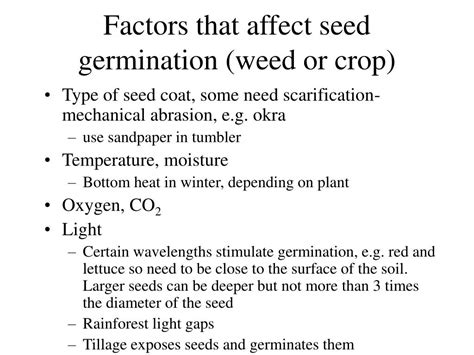 Ppt Seed Biology Powerpoint Presentation Free Download Id5364335