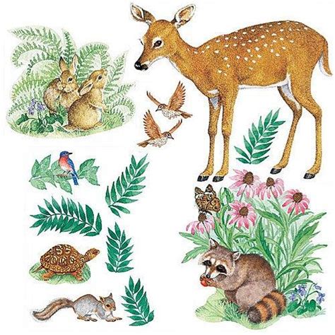 45 Woodland Animal Wallpaper On Wallpapersafari