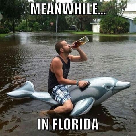 18 people having the best summer ever buzzfeed mobile meanwhile in florida hurricane memes