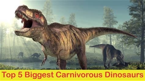 Top 5 Biggest Carnivore Dinosaurs Biggest Theropods Deadliest
