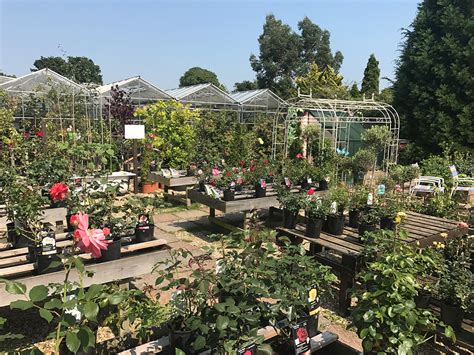 The Garden Centre - Redcliffe Garden Centre | Local Garden Centre in Bashley