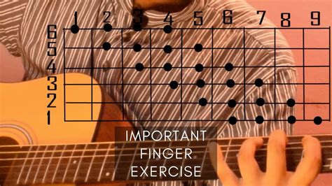Easy Finger Exercise ।। Important Guitar Exercise For Beginners Youtube