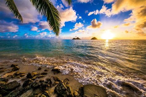 Oahu Beaches The Best Beaches In Oahu For Your Visit