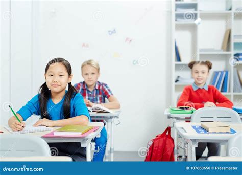 Individual Work Stock Photo Image Of Diligent Lesson 107660650