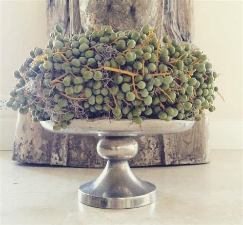 Maybe you would like to learn more about one of these? Christmas wreath made by Miss Daisy Dutch flowers in ...