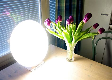Bright Light Therapy Lamp Health Benefits Cosmetic News