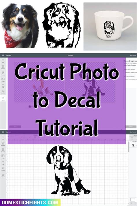 How To Turn A Picture Into An Svg For The Cricut