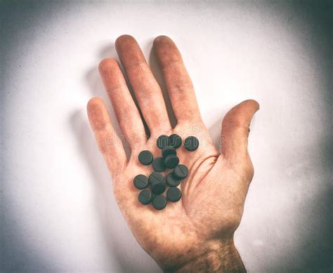 Human Palm Full Of Berries Cowberry And Blueberries Stock Photo