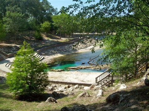 The 125 acres allow for nature walks and a wide variety of wildlife including deer. Little River Springs, Branford, Florida | Summer vacation ...
